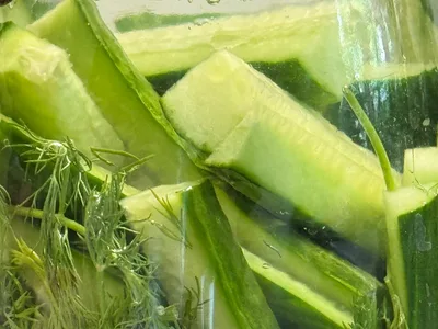 Lacto-Fermentation