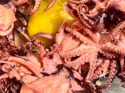 Wood-fired Octopus Salad