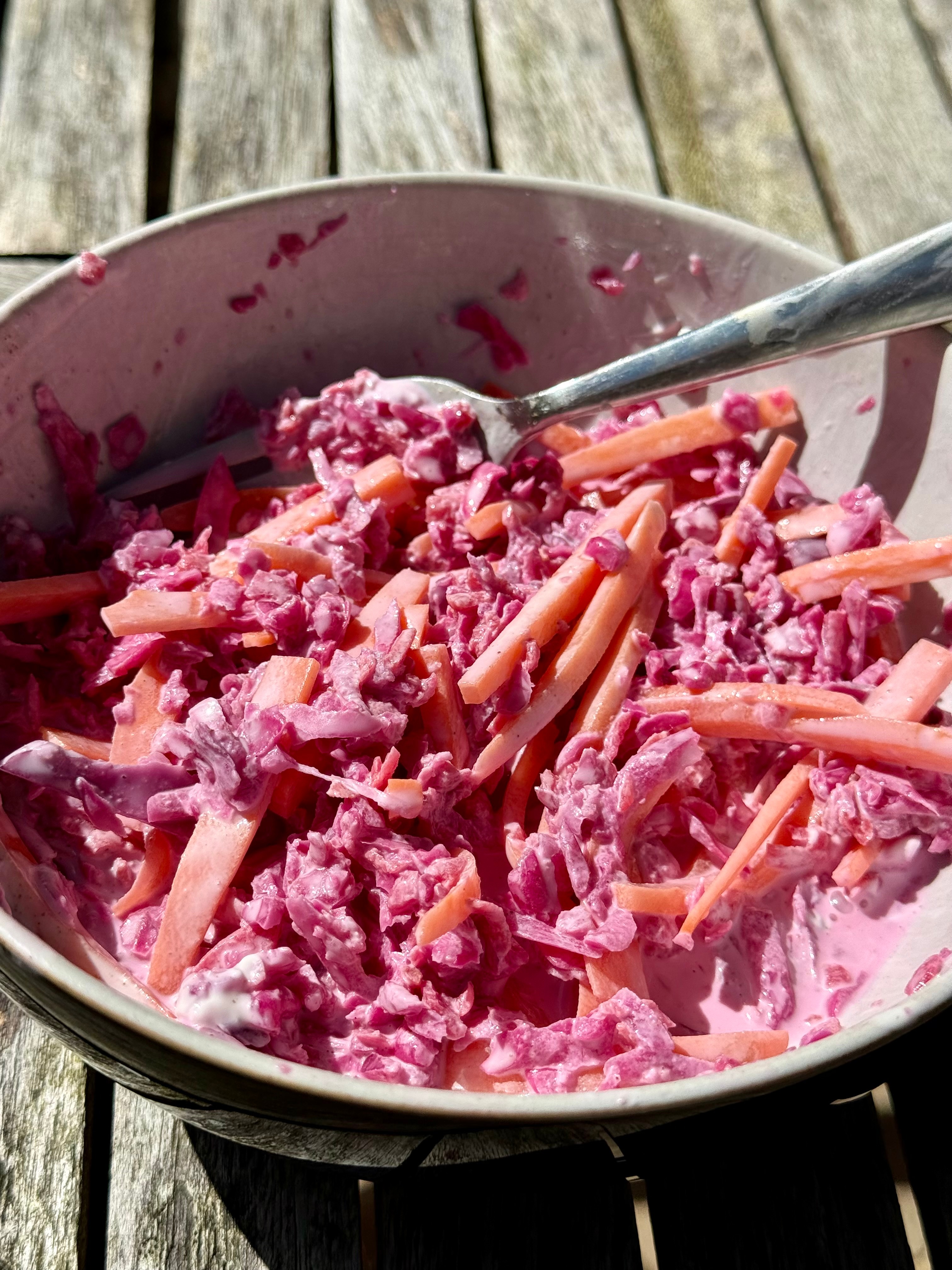 Fermented Coleslaw