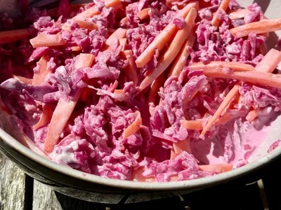 Fermented Coleslaw