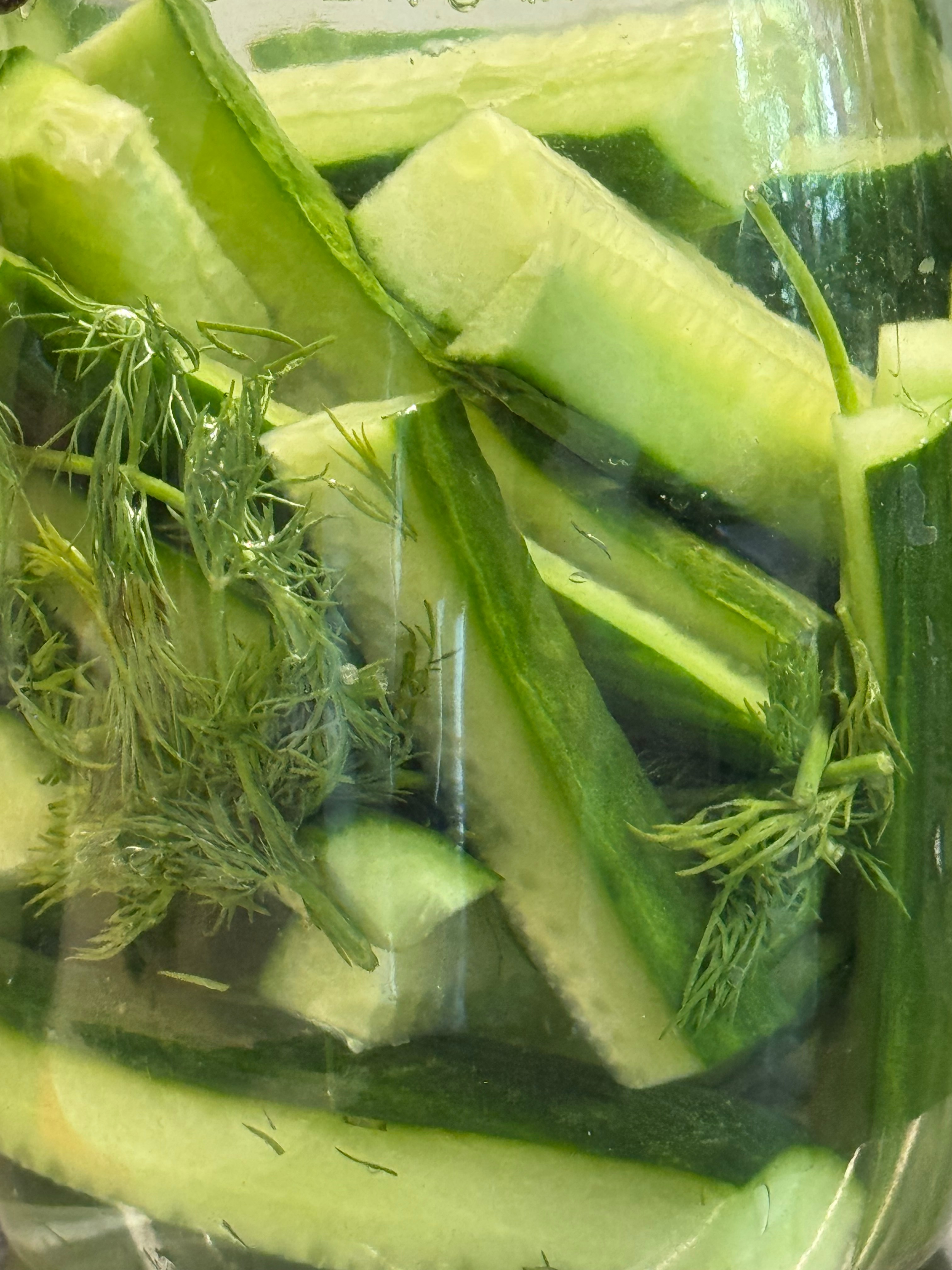 Fermented Dill Pickles
